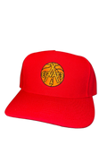 Snapback